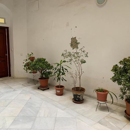 Apartamento En Cadiz Capital Extérieur photo